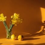 You Can Read Any of These Short Novels in a Weekend