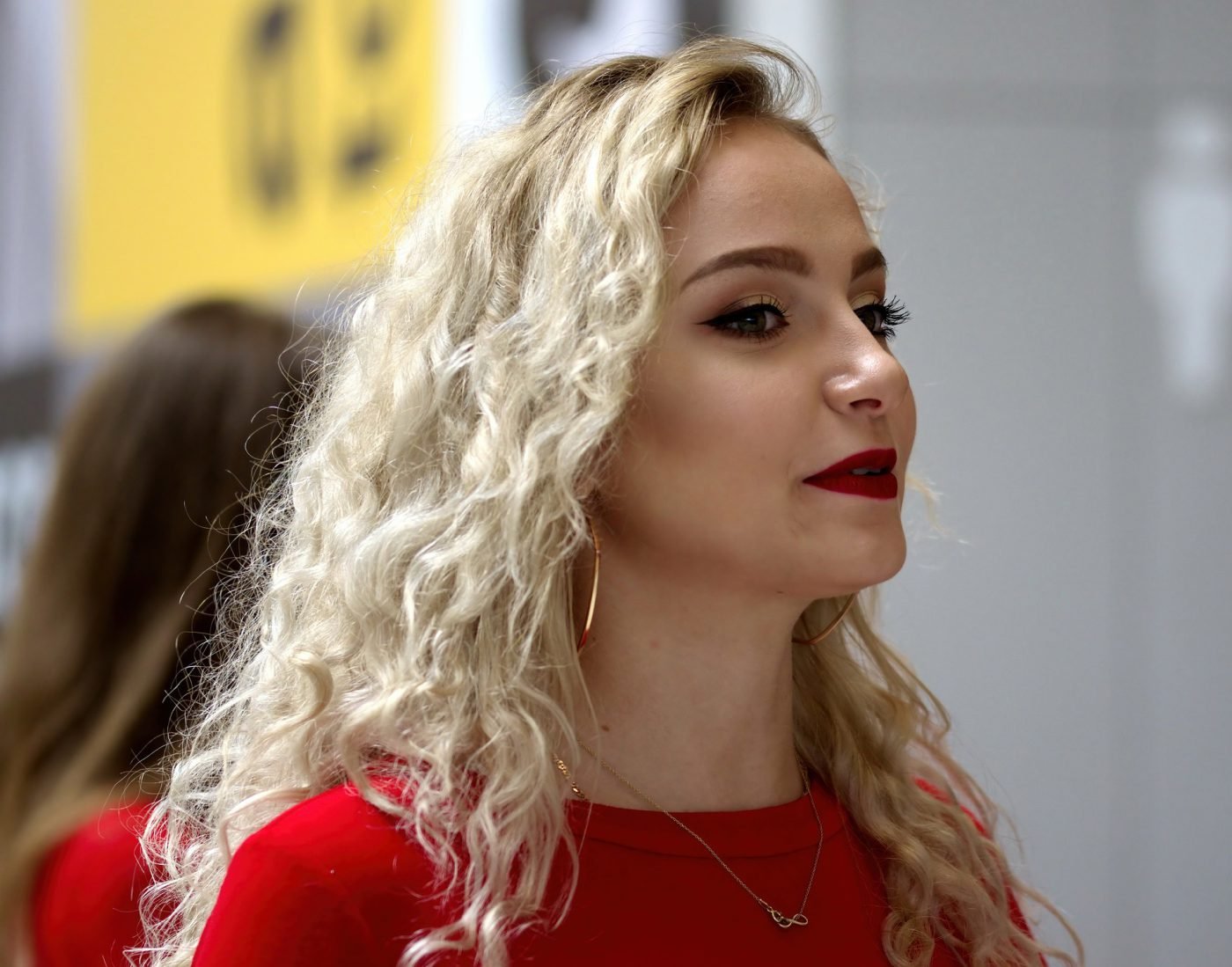 The Improbable Rise and Savage Fall of Siegfried The Improbable Rise and Savage Fall of Siegfried