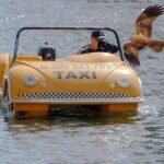 Tencent Music Entertainment Group Sponsored ADR (TME)