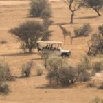 Brain study identifies a cost of caregiving for new fathers